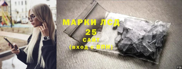 шишки Арсеньев