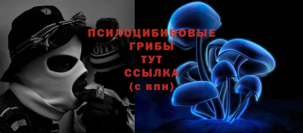круглые Аркадак