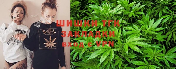 шишки Арсеньев