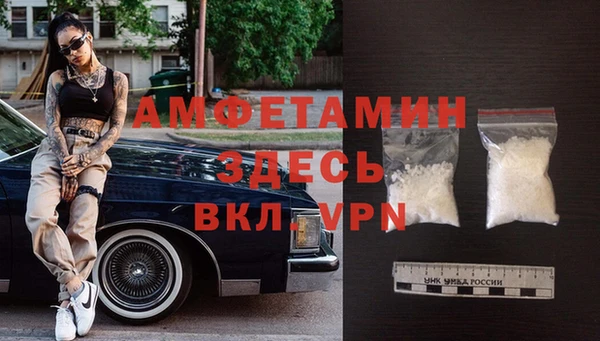 шишки Арсеньев