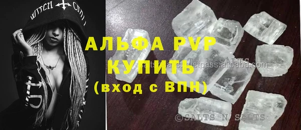 шишки Арсеньев