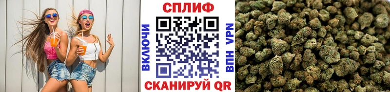Шишки марихуана Bruce Banner  KRAKEN маркетплейс  Оленегорск  продажа наркотиков 
